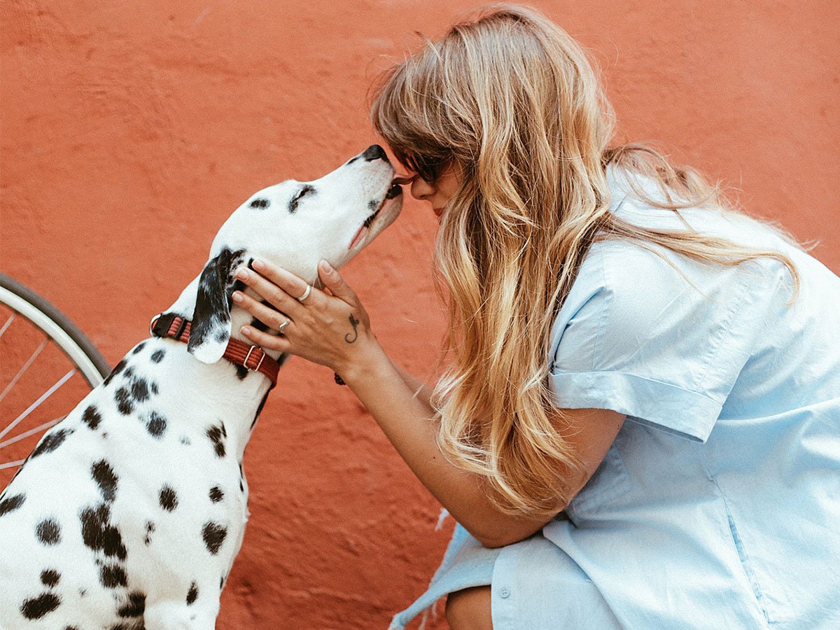 7 Things To Learn From Your Pets