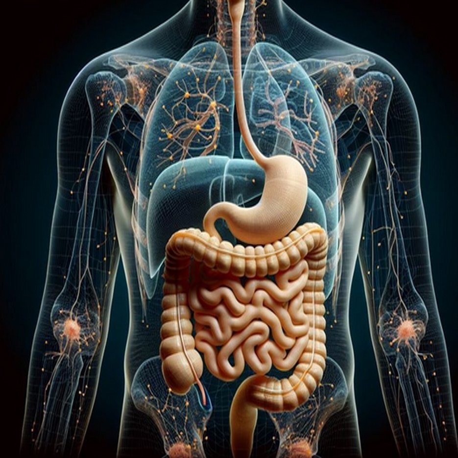 Top Natural Weight Loss Tips That Actually Work in 2026